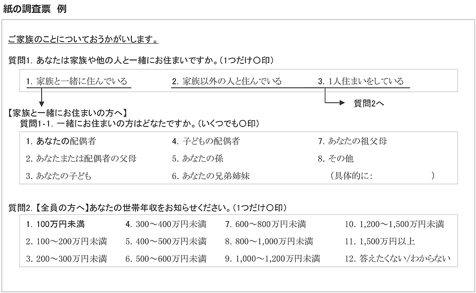 紙の調査票 例