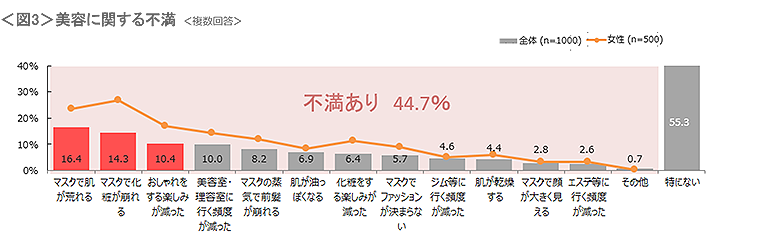 図3　美容に関する不満