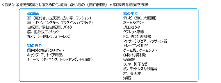 図6　余暇を充実させるために今後買いたいもの