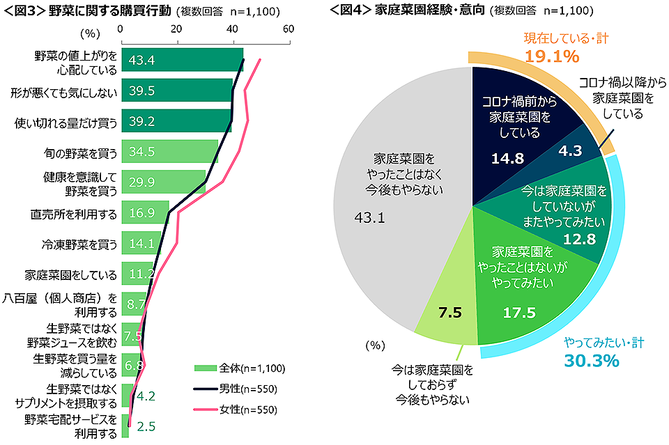 図3　夏野菜に関する購買行動、図4　家庭菜園経験・意向