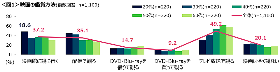 図1　映画の鑑賞方法