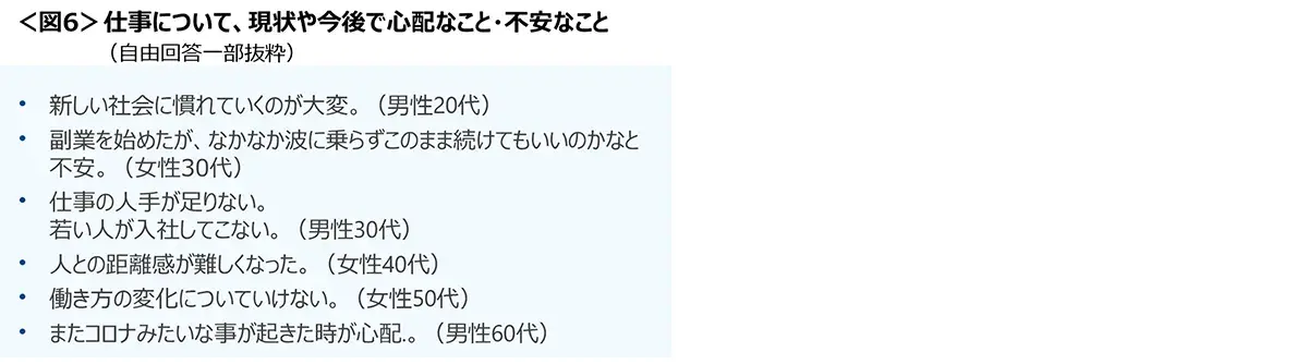 図6　仕事について、現状や今後で心配なこと・不安なこと