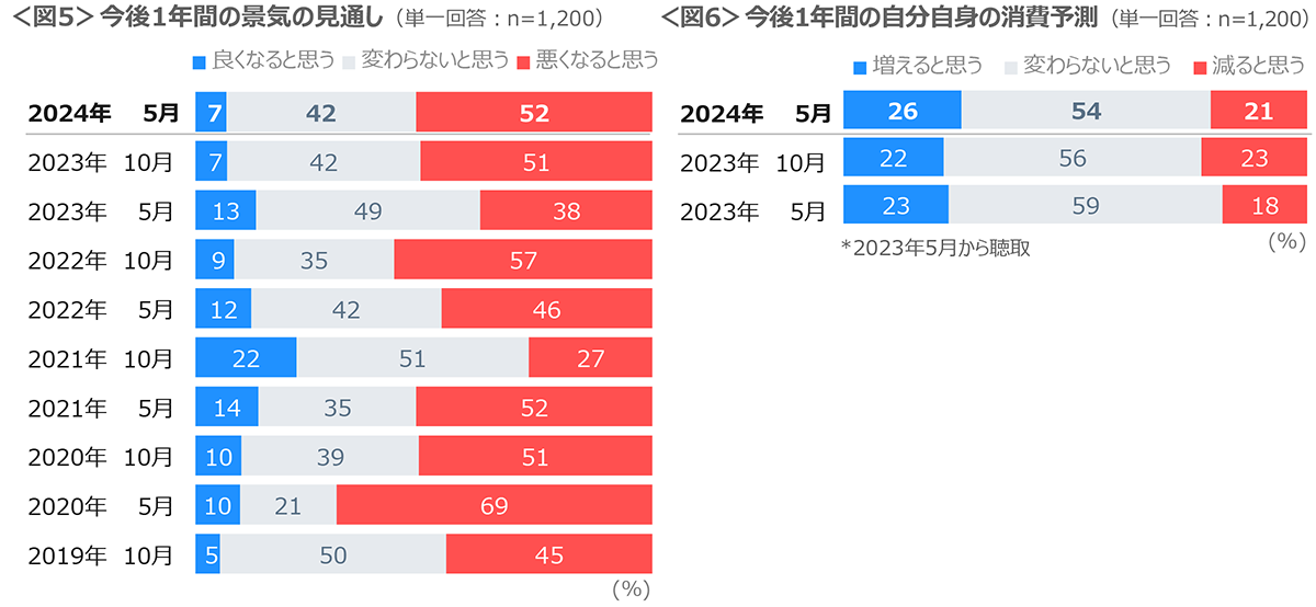 図5　今後1年間の景気の見通し、図6　今後1年間の自分自身の消費予測