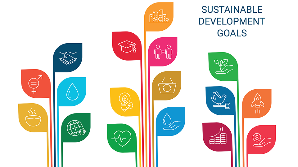 SDGsに関する調査（2024年）評価・行動編